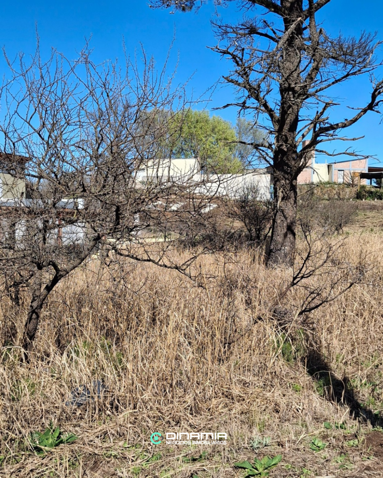 SE VENDE LOTE ESQUINA EN EL TORREON