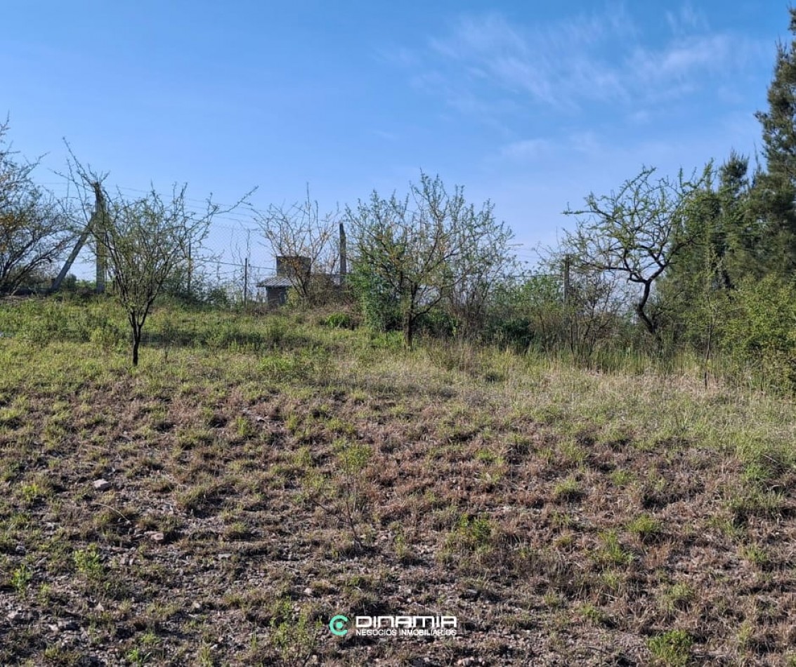 SE VENDE 2 LOTES EN ALTURA DENTRO DEL CLUB SCHNEEBELI