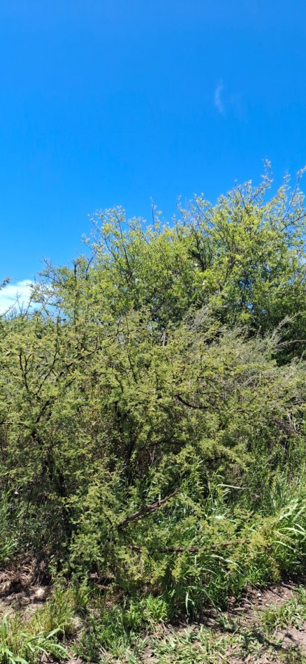 SE VENDEN 2 LOTES JUNTOS EN VILLA RUMIPAL