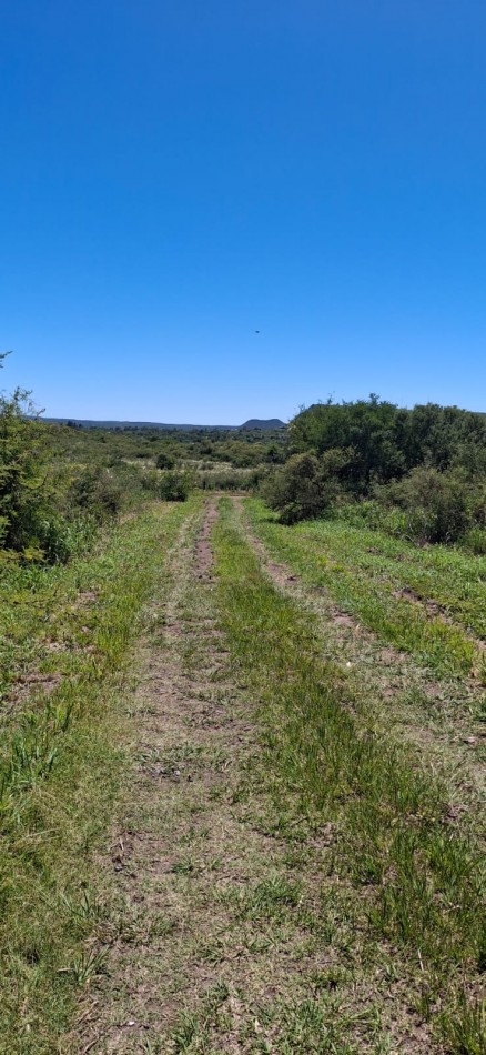 SE VENDEN 2 LOTES JUNTOS EN VILLA RUMIPAL