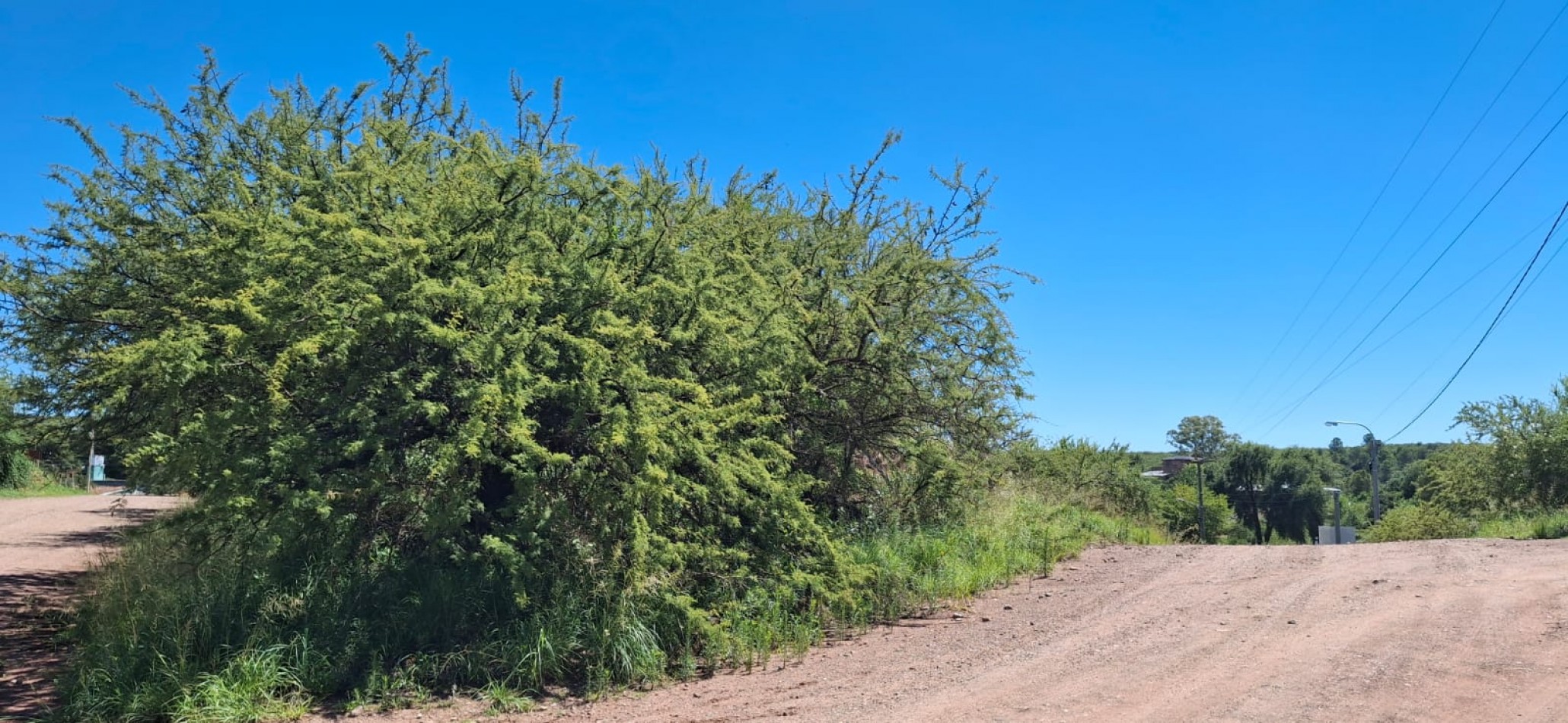 SE VENDEN 4 LOTES JUNTOS EN ZONA NAUTICA, VILLA DEL DIQUE