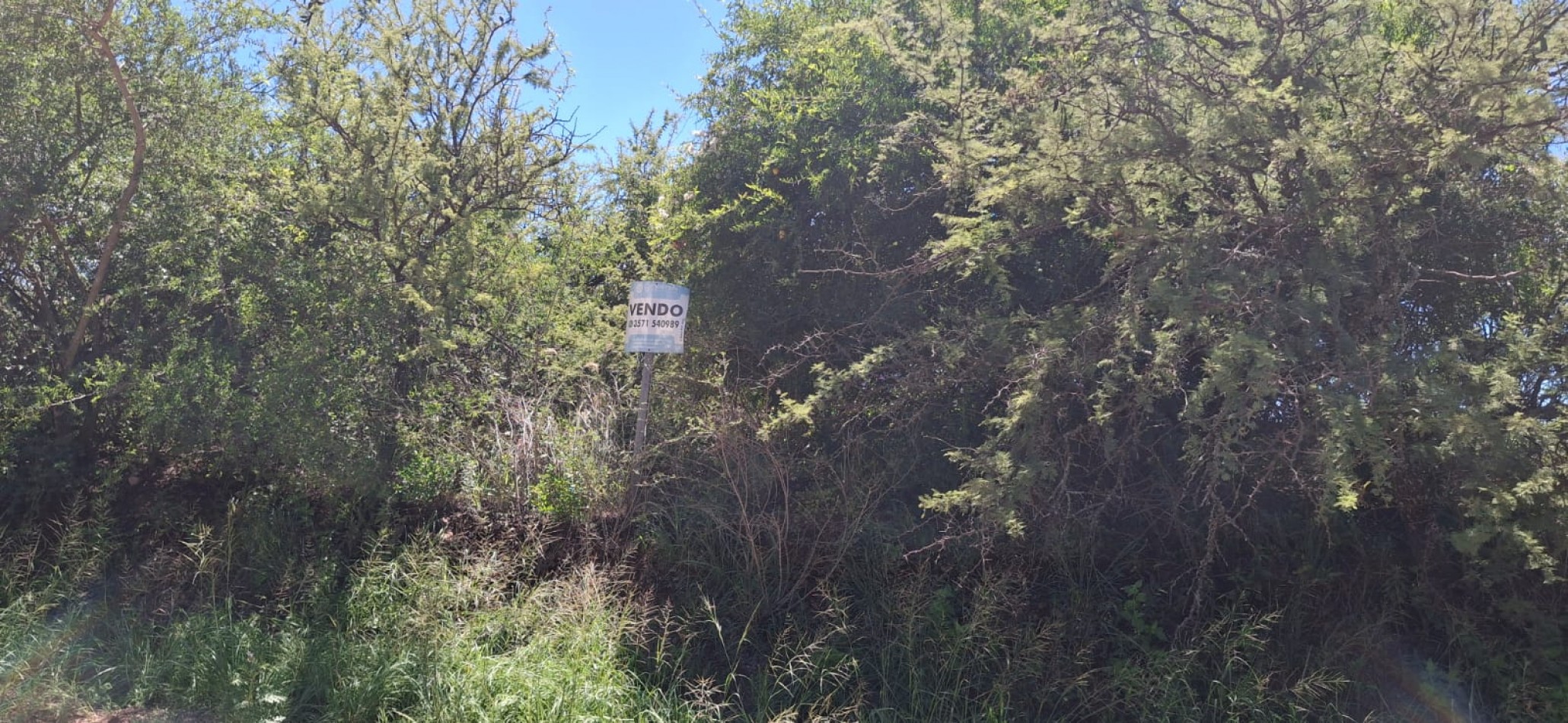 SE VENDEN 4 LOTES JUNTOS EN ZONA NAUTICA, VILLA DEL DIQUE