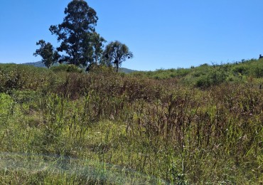 LOTE EN VILLA RUMIPAL 