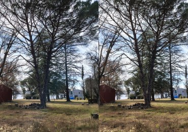 NUEVO INGRESO EN SAN IGNACIO