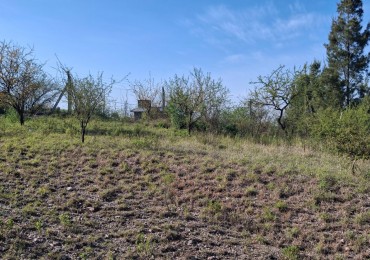 SE VENDE 2 LOTES EN ALTURA DENTRO DEL CLUB SCHNEEBELI